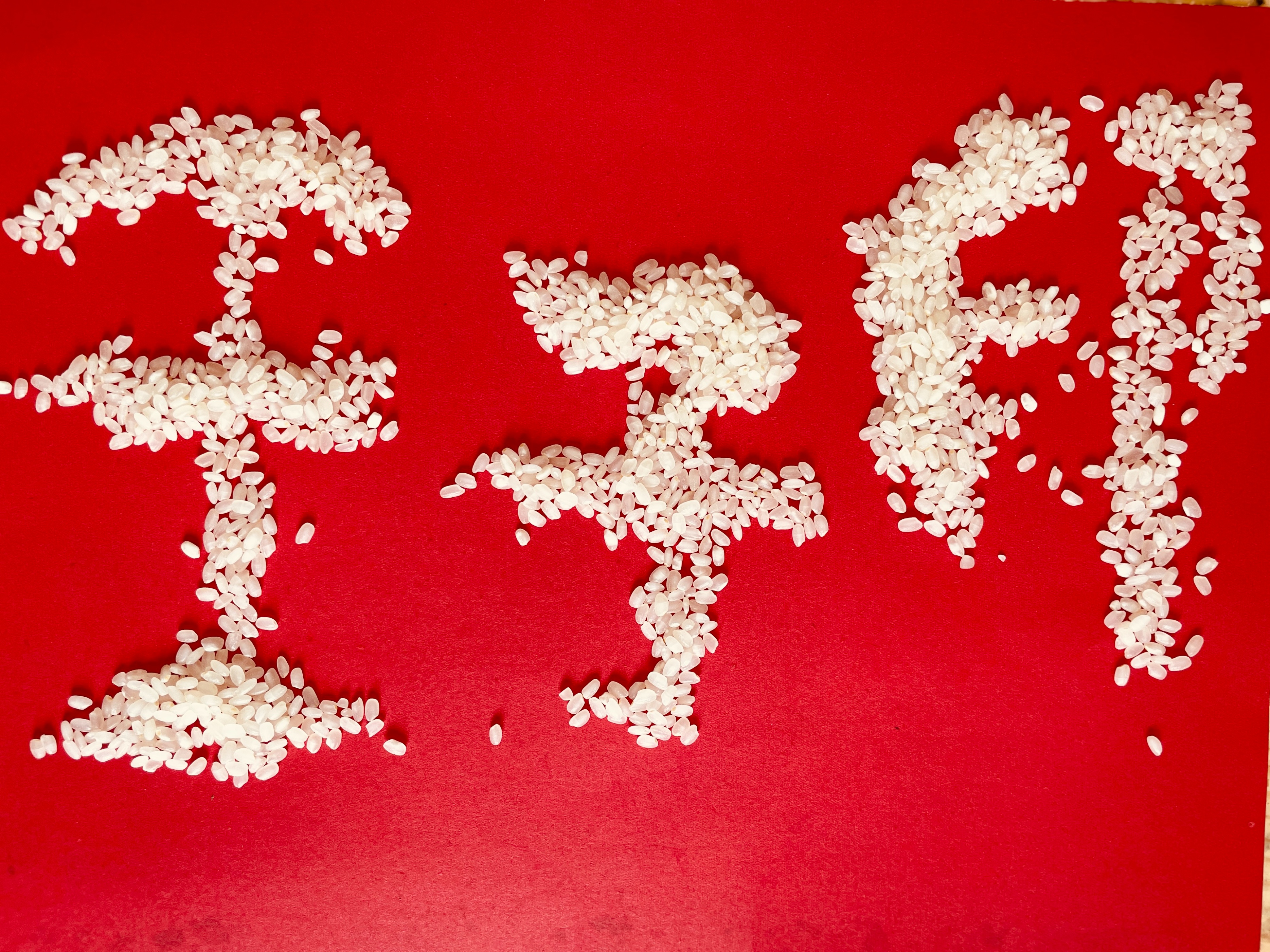 鎴戠殑鍚嶅瓧鐝湰璇剧▼鏁欐,鎴戠殑鍚嶅瓧澶у璇惧爞