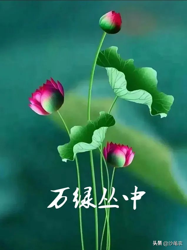 股市上午8点,股市早八点最新消息