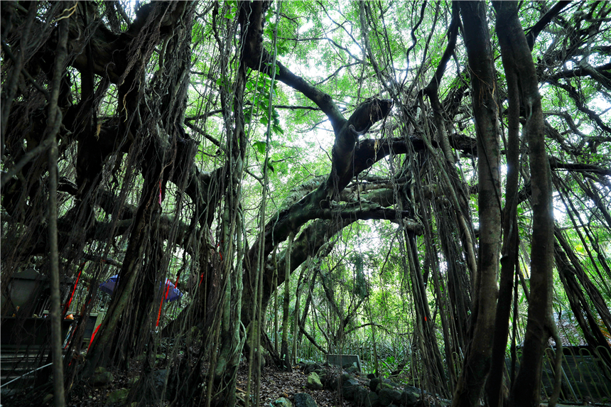 海南东线自驾乡村游攻略,海南原始村落自驾游