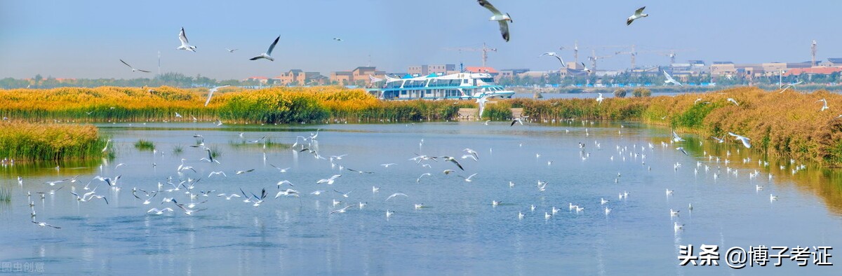 世界导游证,导游证是不是可以到处去玩