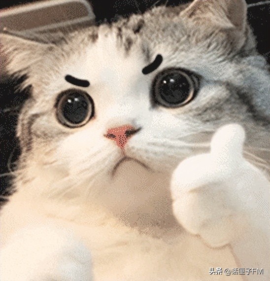 天下苦份子钱久矣！这场婚礼的全新解决之道，让人从此实现“份子钱自由”