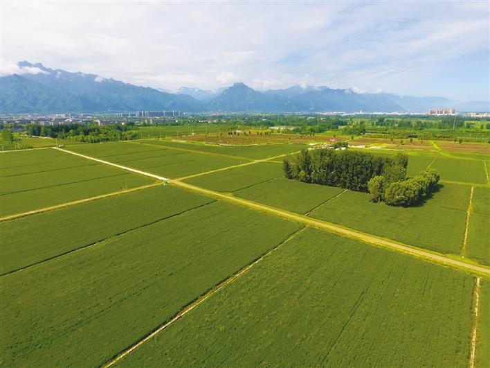 西安雨越来越多了,西安的雨怎么越来越多了