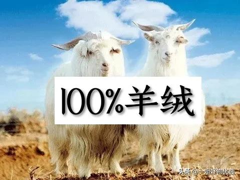 羊绒围巾推荐店铺,羊绒围巾推荐什么颜色