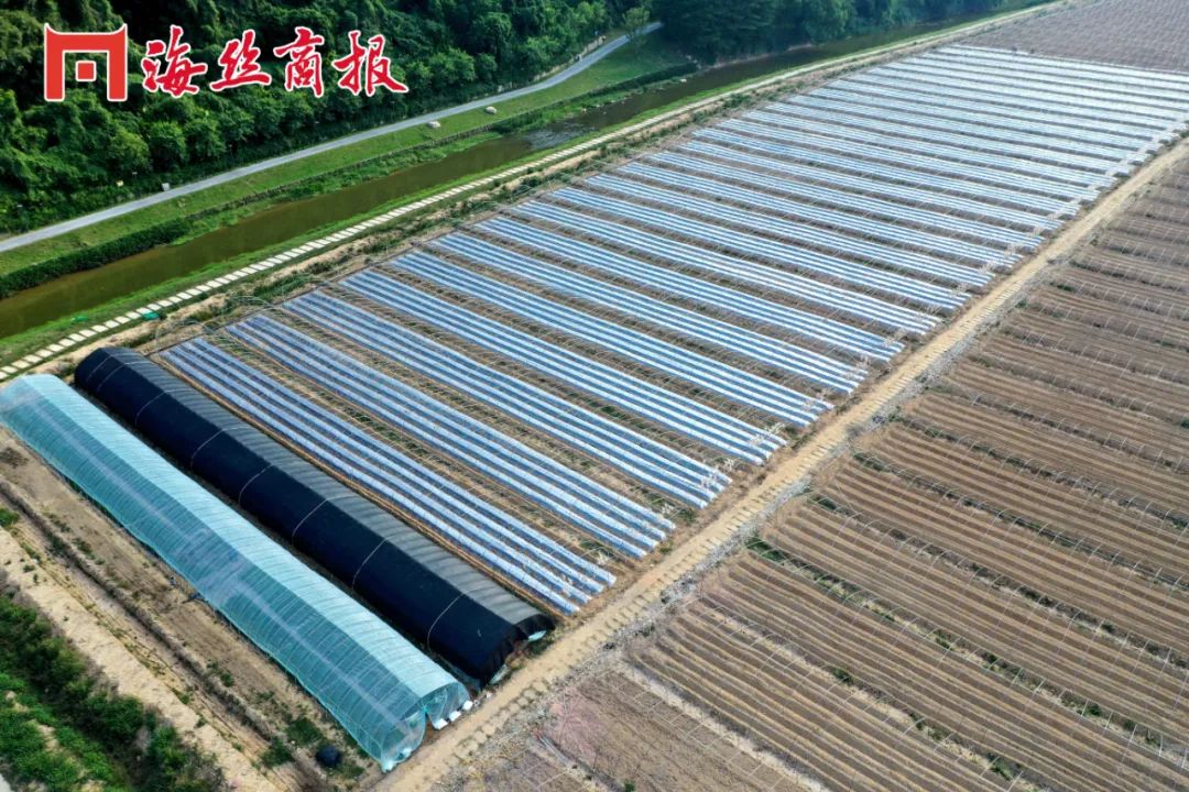 南安石井工业用地2亩,南安土地面积