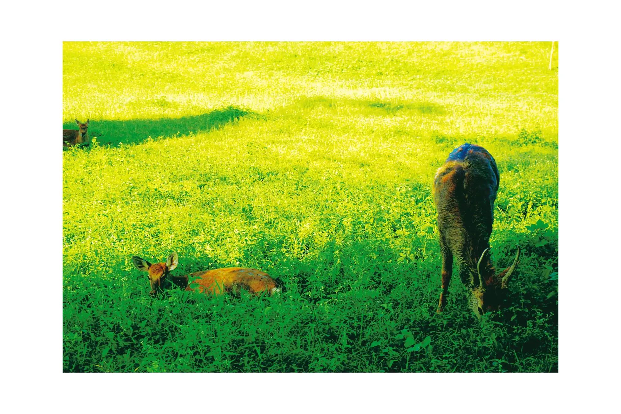 生活在杭州,生活在浙江杭州是什么体验