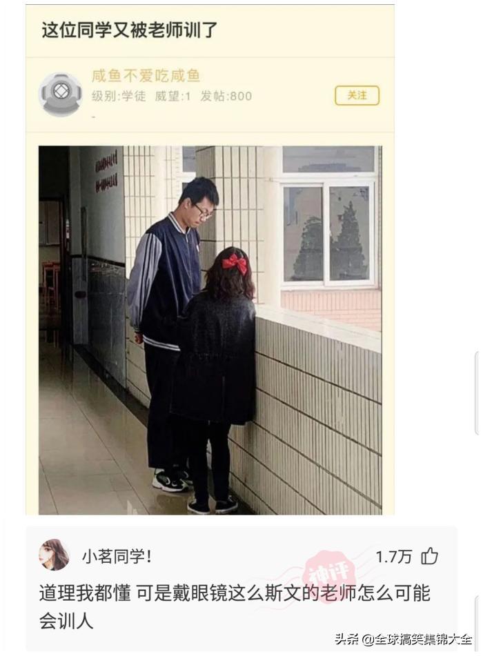 神回复不按套路出牌,神回复答出的都是高手