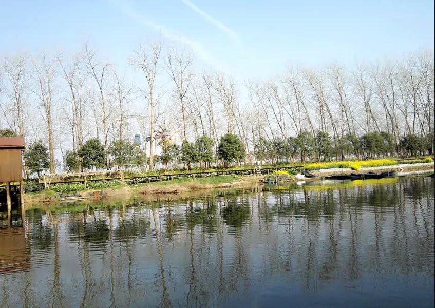 李白的五言绝句十首,李白最霸气的十首诗