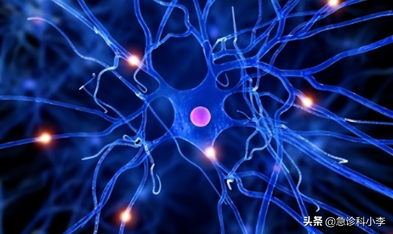 维生素b失眠吃维生素几最好,长期失眠与缺少这两种维生素有关