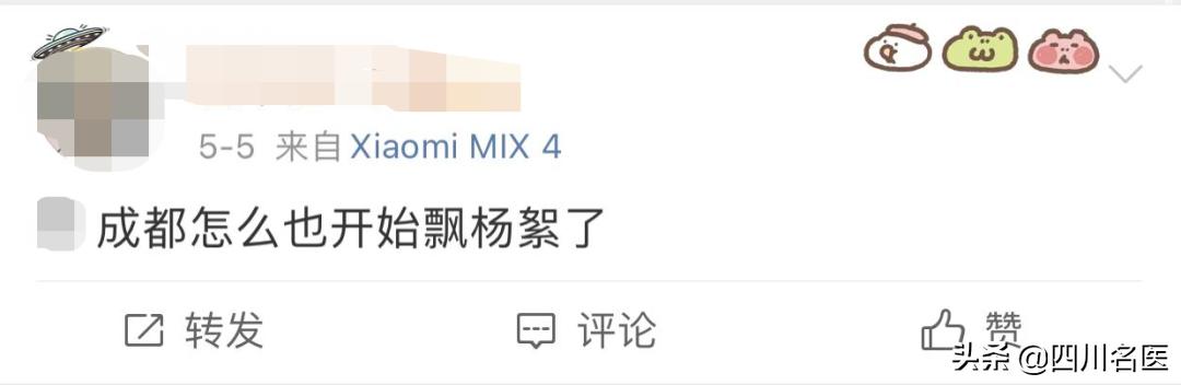 成都大街小巷最新消息,现在疫情下的成都大街