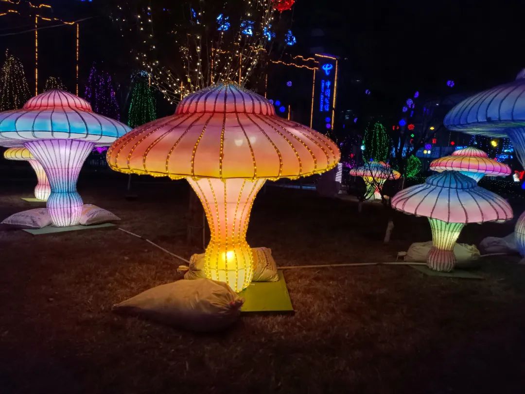 花灯璀璨迎新春多彩古城年味浓,逛花灯迎新春一起来寻找浓浓年味