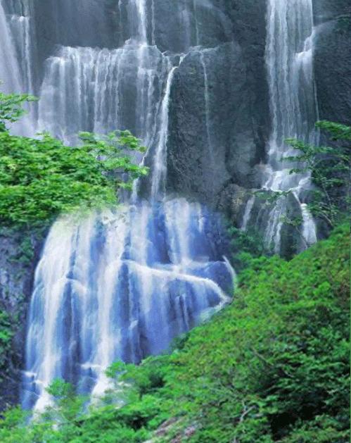 好看的山水花鸟大全,中国风山水花鸟图片
