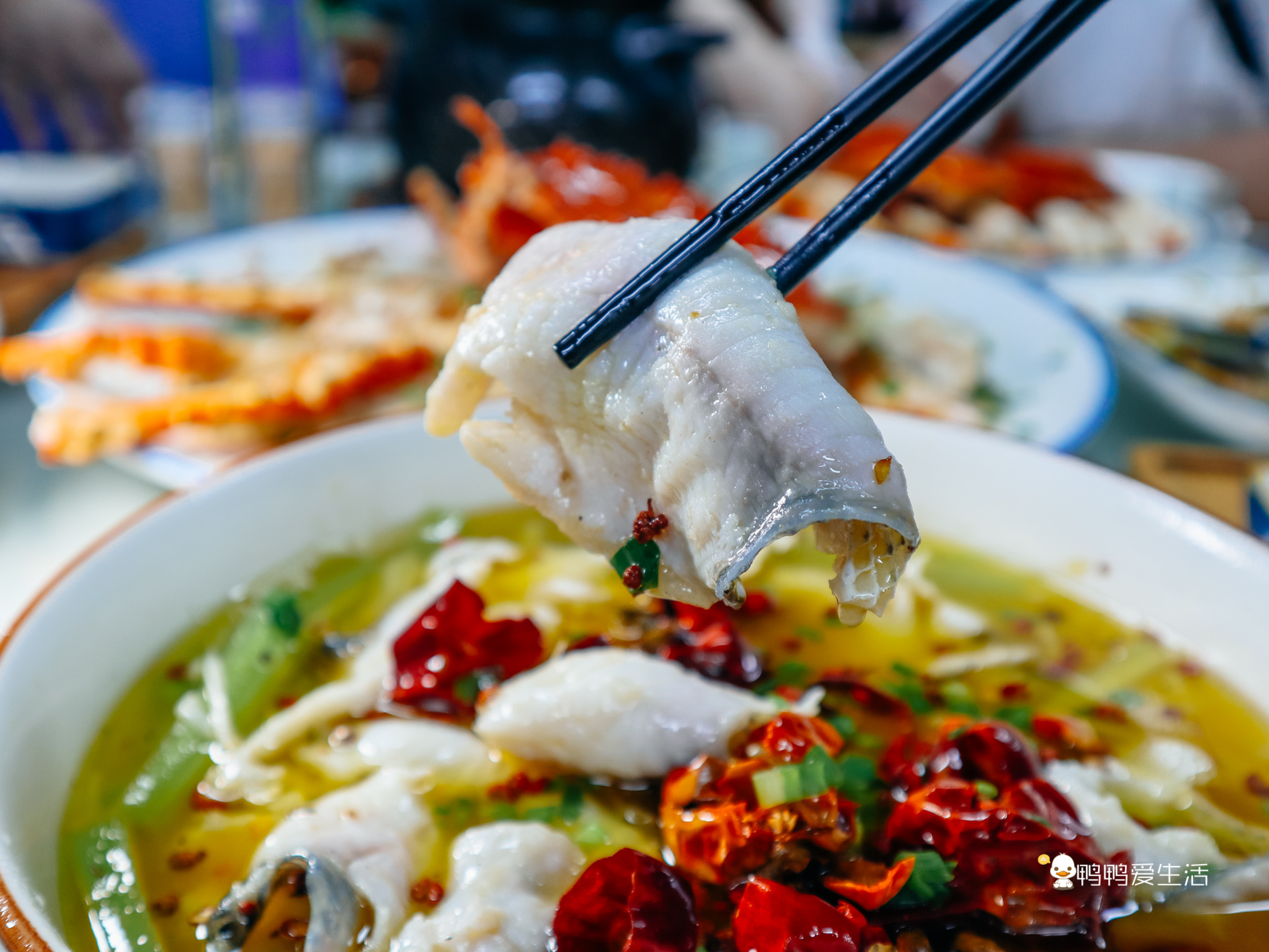 厦门老字号十大名店,厦门老字号肉松