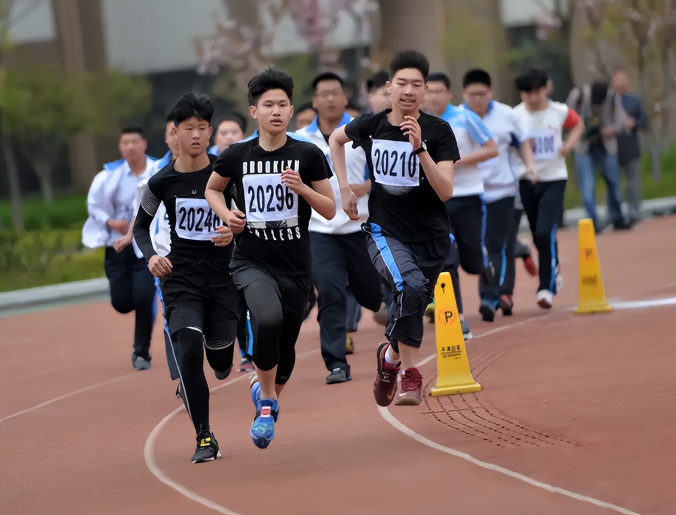 教育部公布就业率最低的十个专业,大学专业就业率高的专业排名