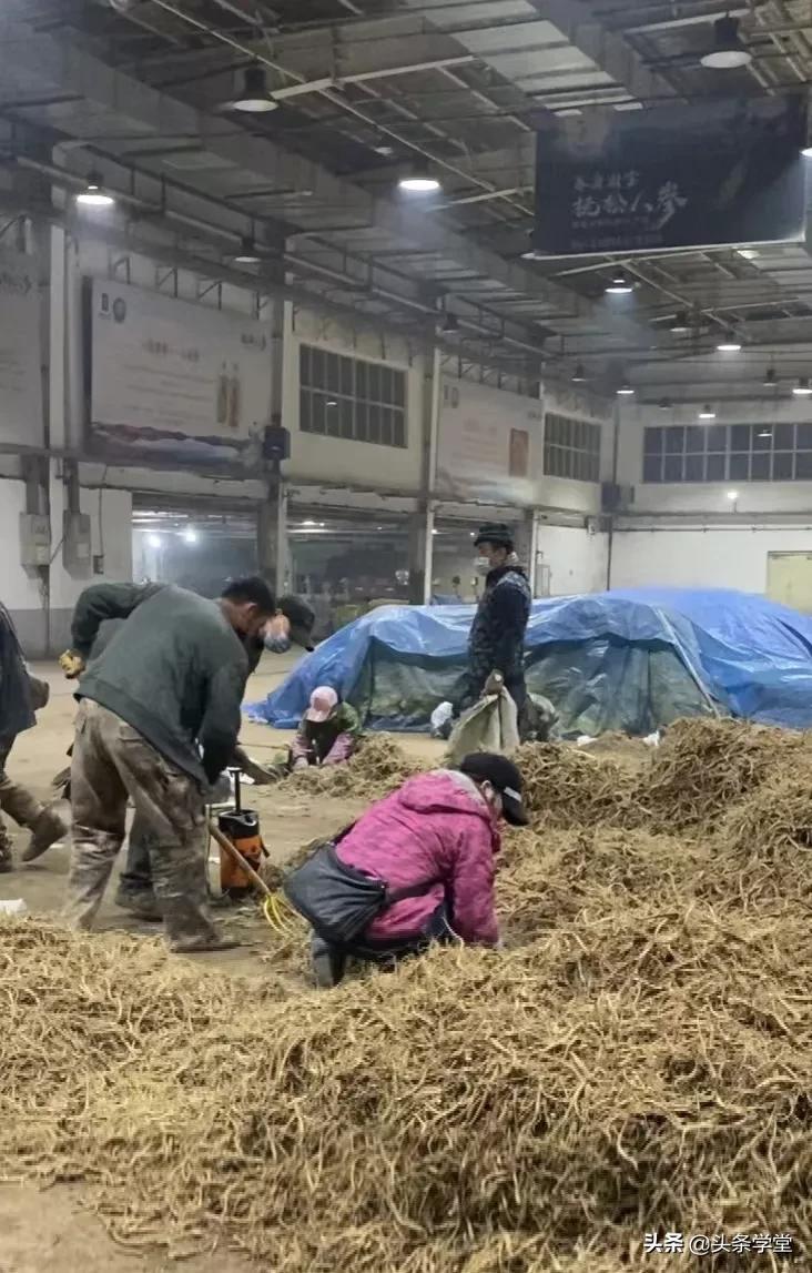 头条学堂免费学习,头条学堂讲师预备培训班