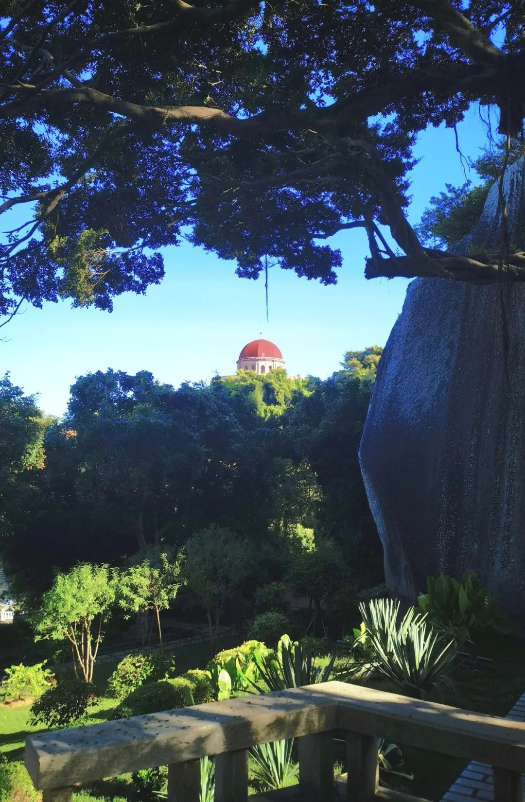 暑假我们来到了中国闻名的鼓浪屿,鼓浪屿暑假免费游玩攻略