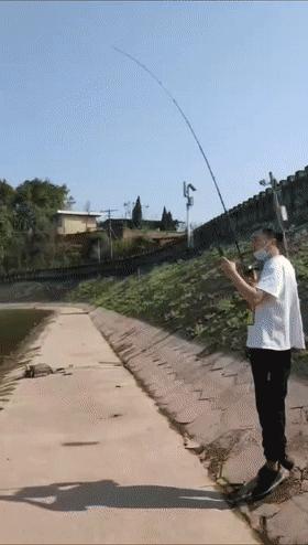 老成精？四川一水库“鲶鱼王”被人钓起，重89斤，许多人劝放生