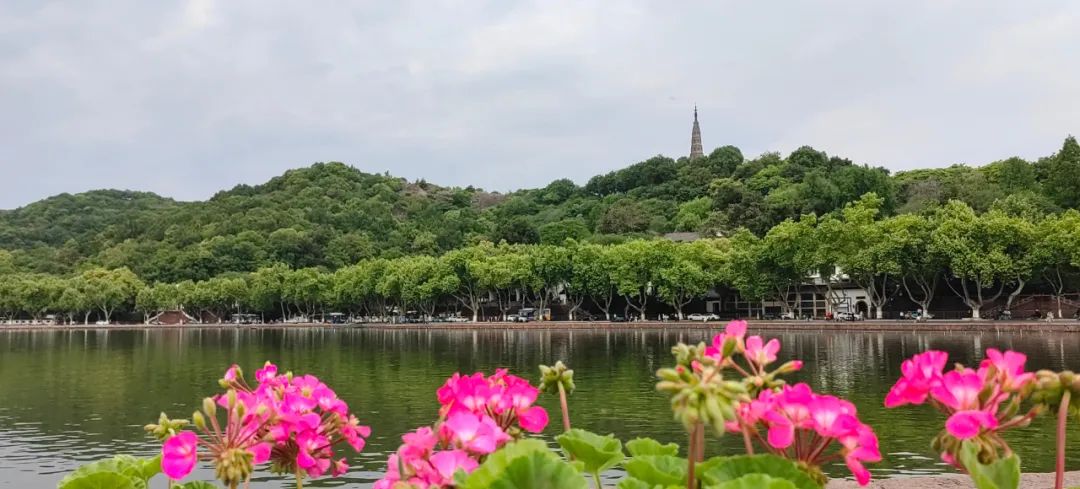 酷！杭州的“太阳系之旅”肯定有你的份！这些新玩法赶紧收藏