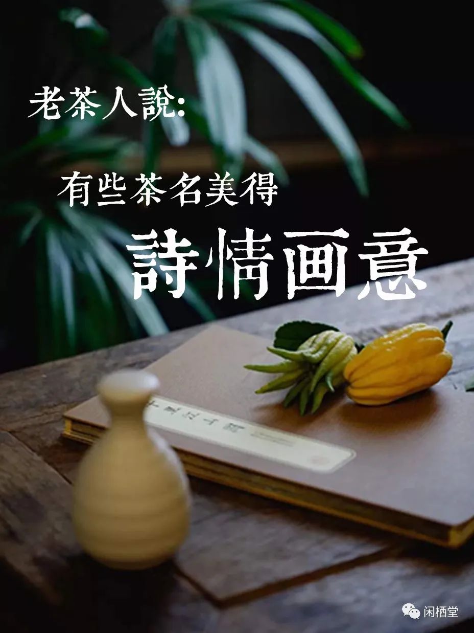 全网最值得你看的茶文化知识,茶文化的讲解茶经