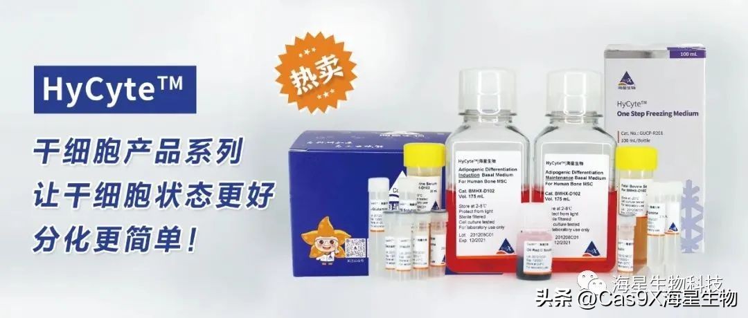 细胞培养基成分比例,细胞培养基的介绍