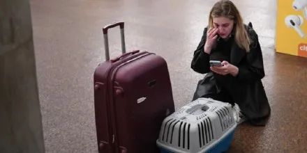 制裁猫咪小视频,制裁猫咪三个手段