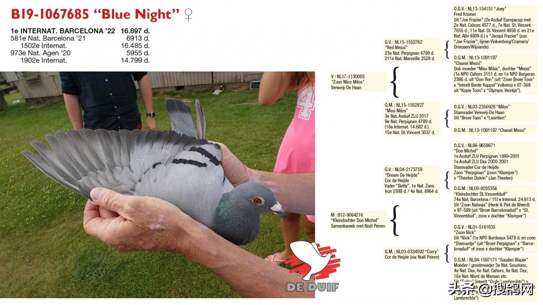 巴塞罗那是世界冠军吗,巴塞罗那6连冠都是哪六冠