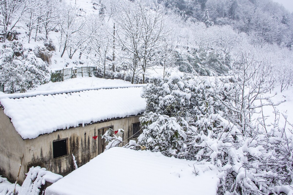 悦读啄木鸟——《四季汉字一岁诗》（21）：大雪