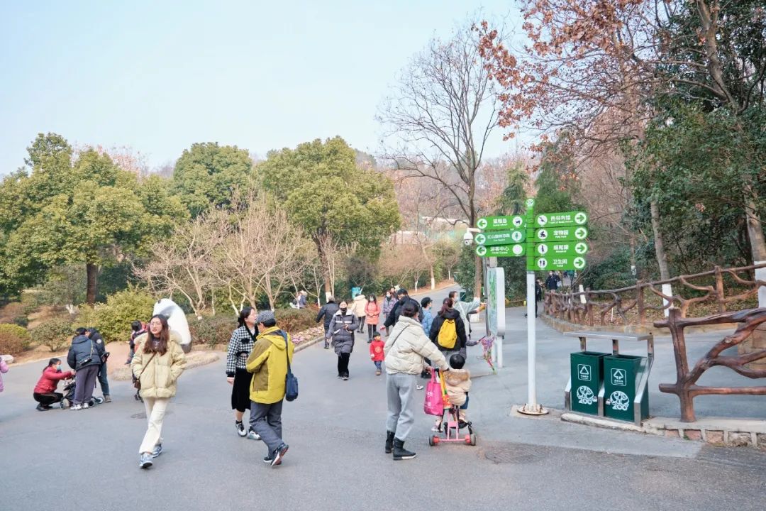 红山动物园亏损3千万网友很着急,近两年疫情原因导致亏损如何翻身