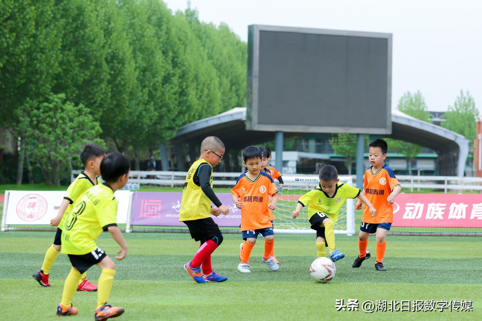 幼儿园孩子踢足球创意视频,足球比赛萌娃看台