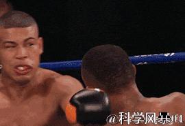 大脑软的可以在颅腔内晃动，脑震荡为什么不会在啄木鸟身上发生？