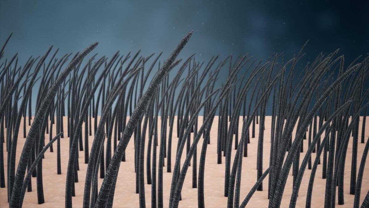 为什么屁股中间也会长“毛”？若是刮掉会怎样？网友：涨知识了