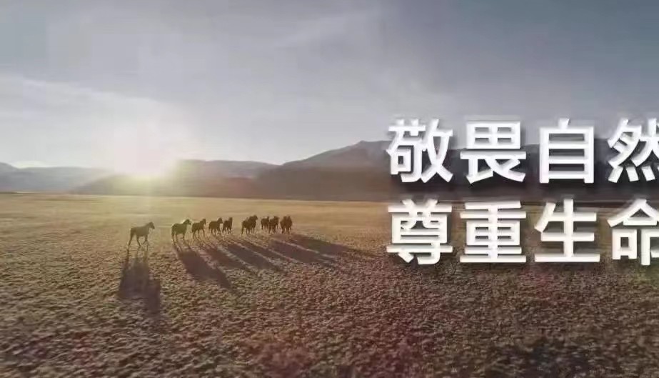 中国发明高效率“吞沙巨兽”，一天吞噬沙漠40亩，已在甘肃使用