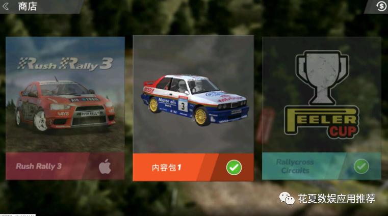 苹果ios赛车游戏推荐,苹果手游拉力赛车游戏推荐