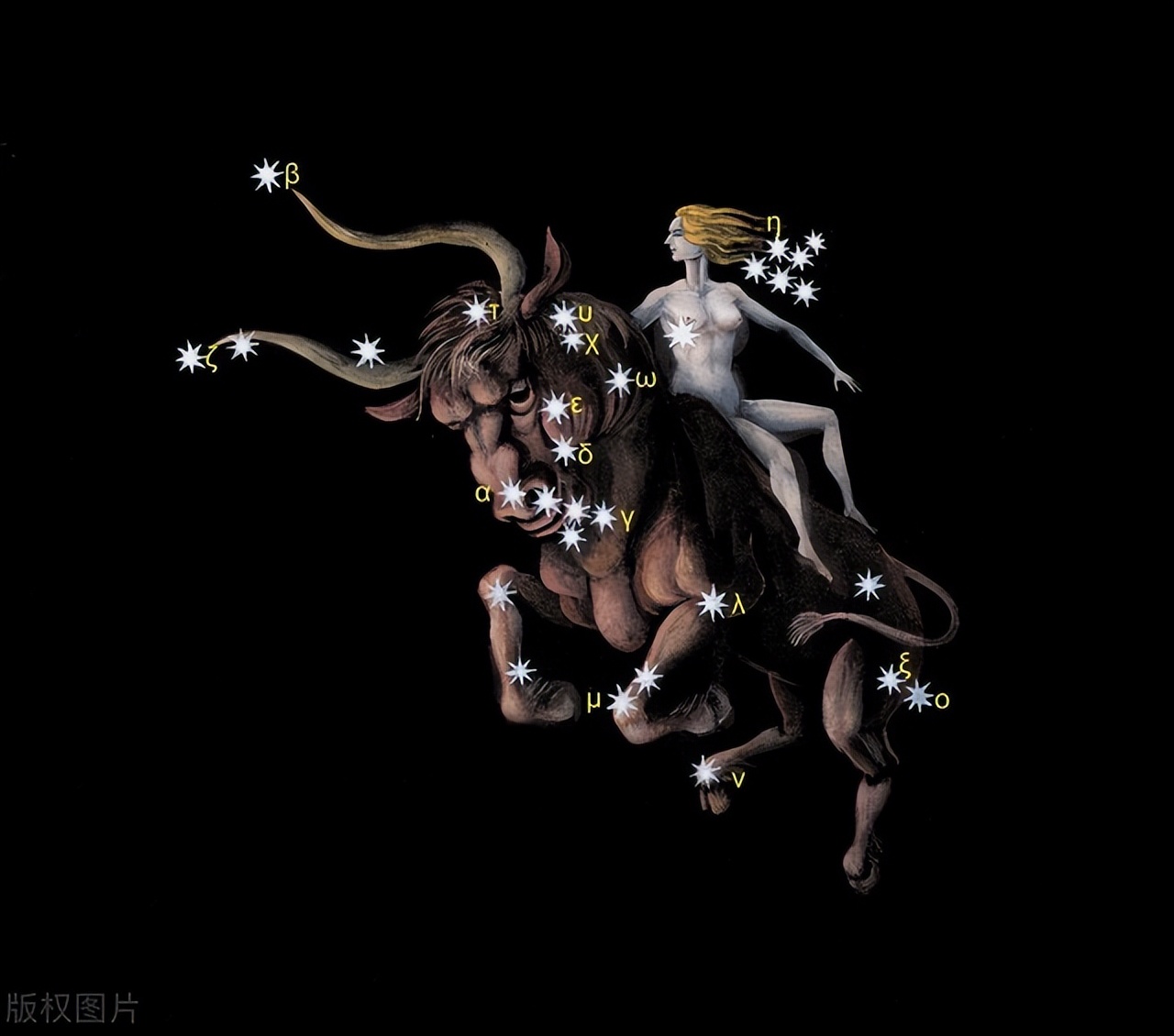 星座占卜都有啥,星座占卜行业