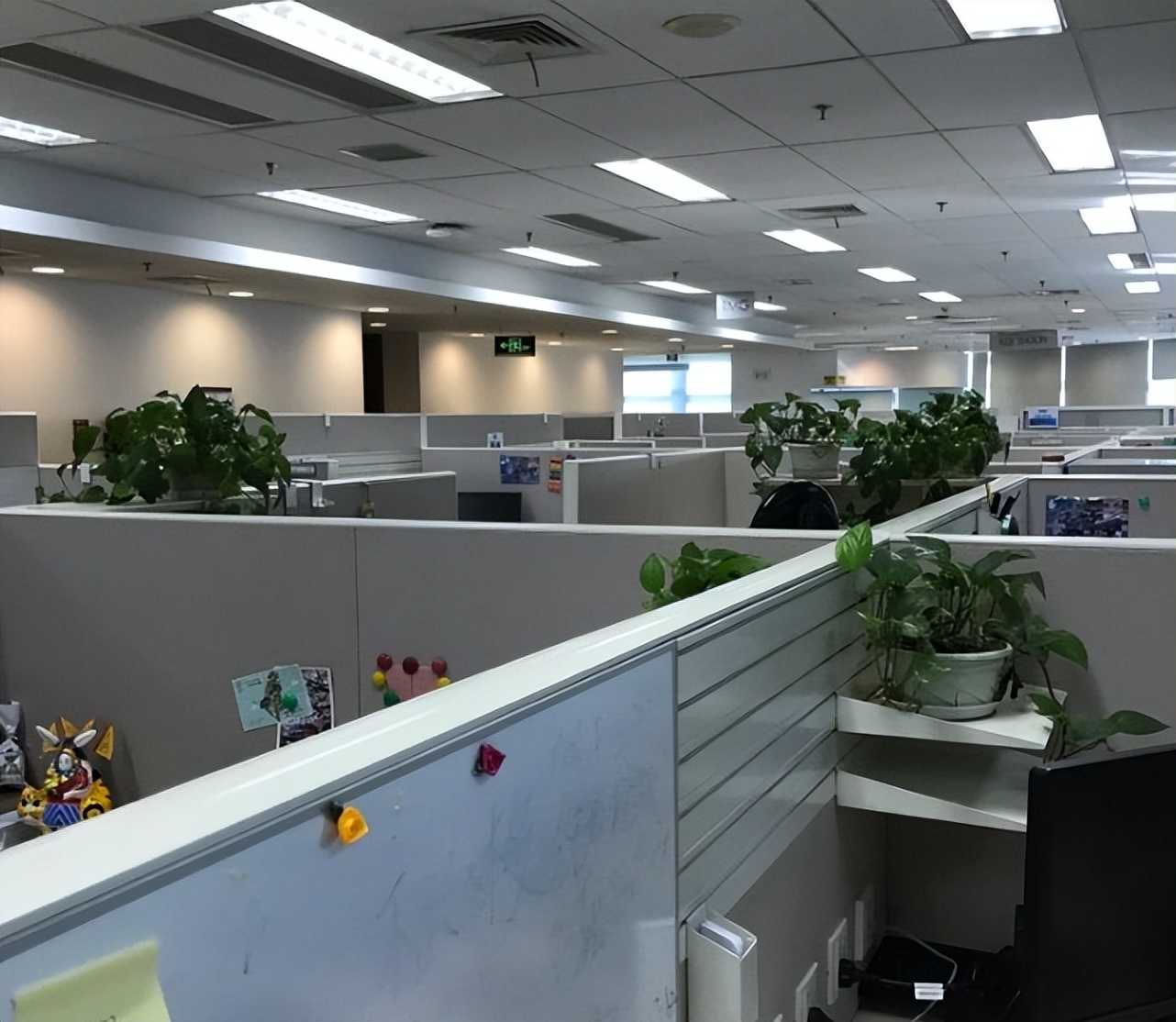 秋招非应届有机会吗,秋招进不去国企