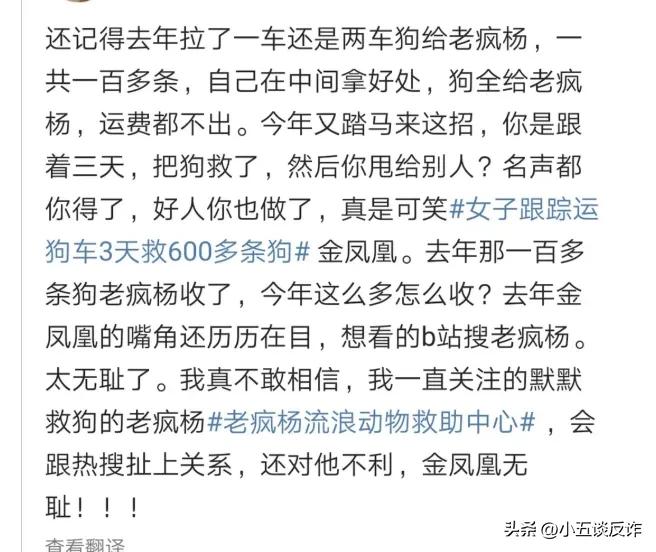 爱狗人士诈捐被揭穿,爱狗人士诈捐事件视频