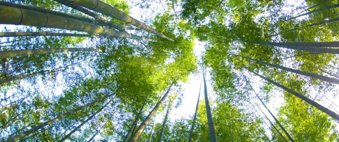 林业产业示范园区,四川省省级农业产业示范园区