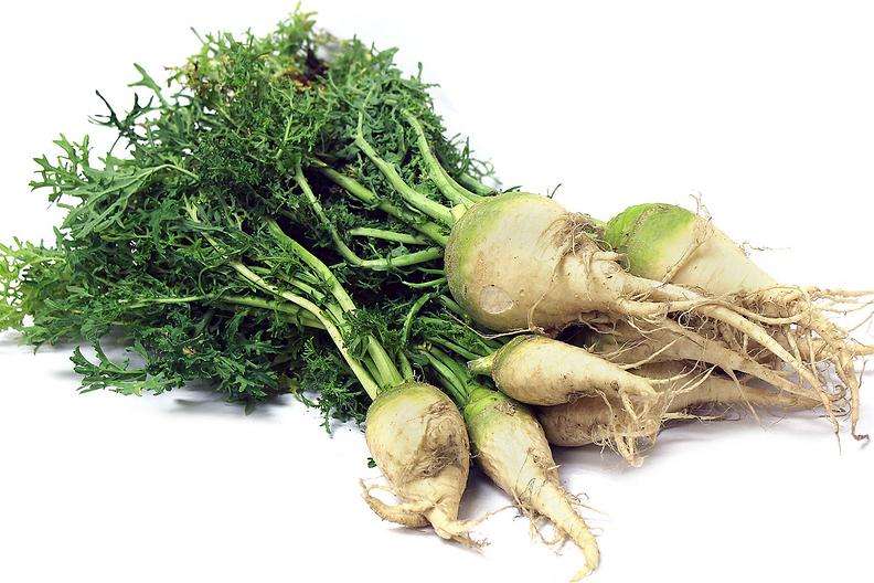 根类食物大全 (5种根菜类的食材)