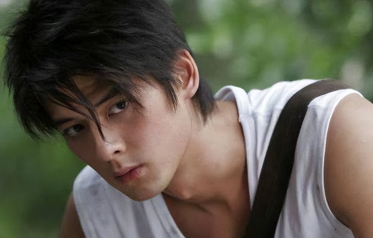 十大经典电视剧美男,中国电视剧最帅的十大绝色美男子