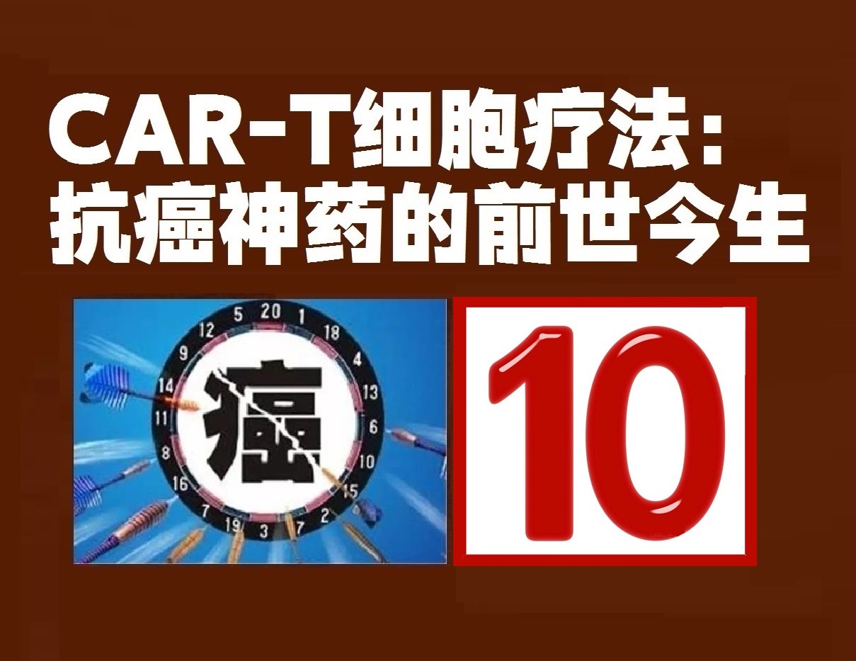car-t细胞疗法可以治愈什么癌症,car-t细胞疗法是治愈还是延长生命