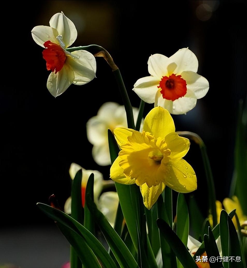 朝辞白帝彩云间完整诗句,十首经典春日诗词