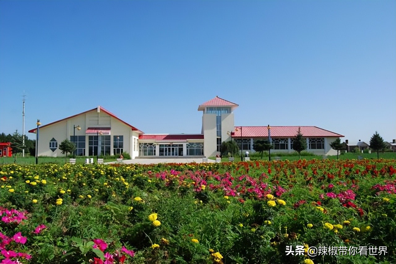 美在黑龙江：走进诗意山水之齐齐哈尔这里是世界大湿地中国鹤家乡