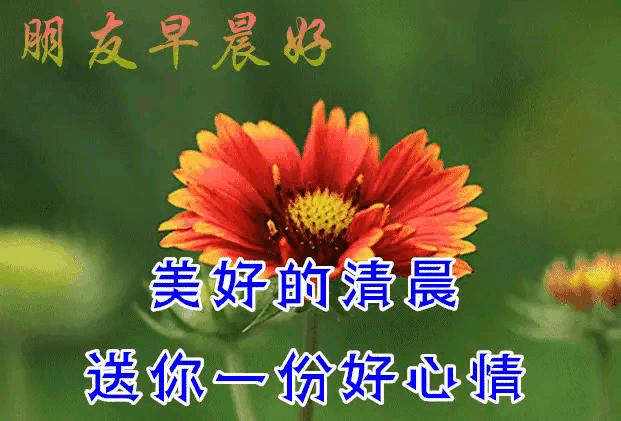 乙木命2023年癸卯年运势怎样,农历2023年癸卯年正月结婚吉日