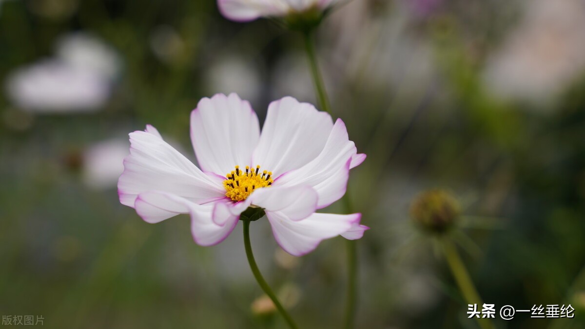 58岁阿姨谈搭伙过日子,65岁阿姨坦言搭伙过日子八年