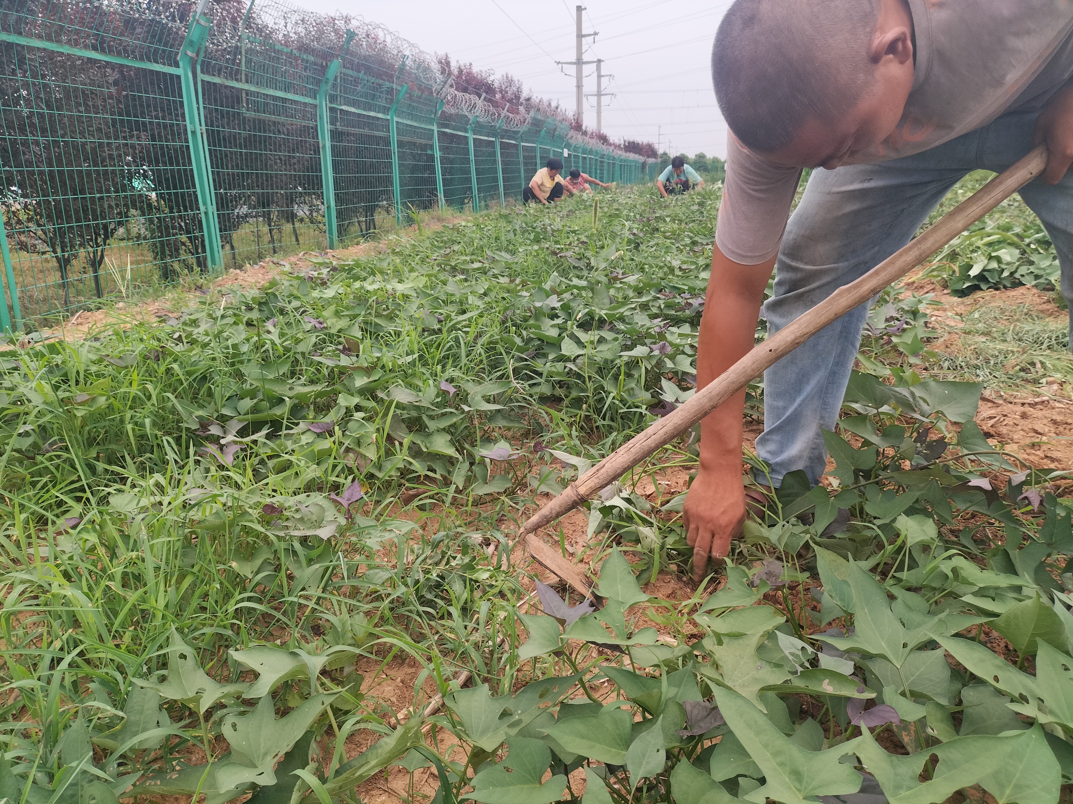 农村有赊种子的、赊肥料的,现在又有赊酒的,他们是怎么赚钱的
