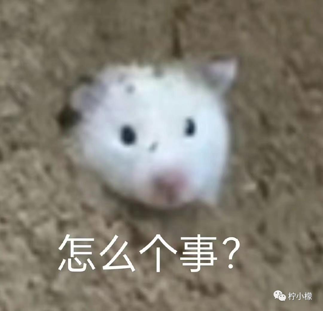 不小心把大尺度小说发给老师后...没逝的这辈子很快就过去了哈哈