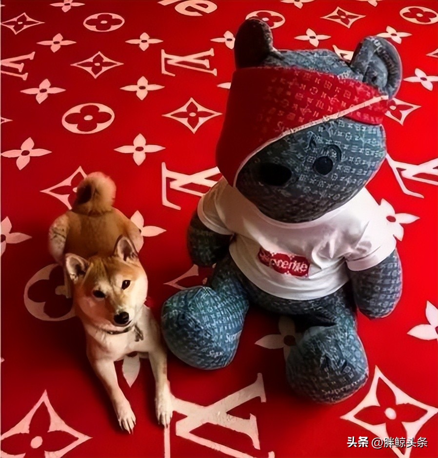 盘点全球最贵的零食,世界上最贵的零食袋子