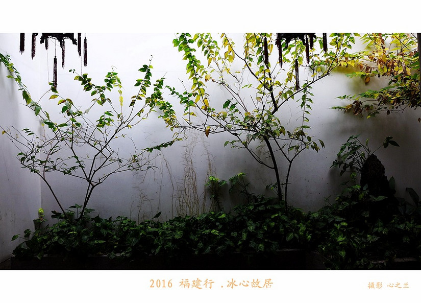 林觉民跟冰心怎么会在一个故居,福州林觉民冰心故居游玩攻略简介