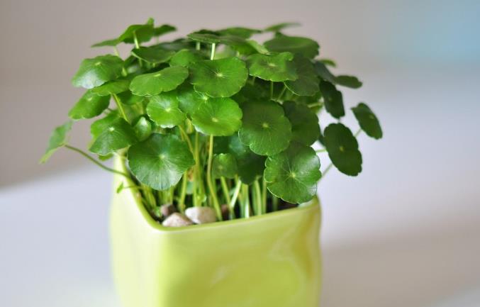 为什么兄弟姐妹之间心机如此深,兄弟姐妹之间交往最忌讳这五件事