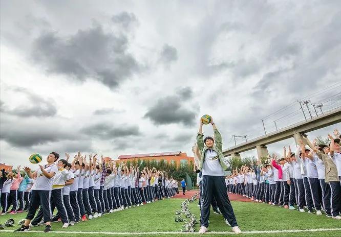 新颖团建拓展项目,趣味拓展精品团建必选地