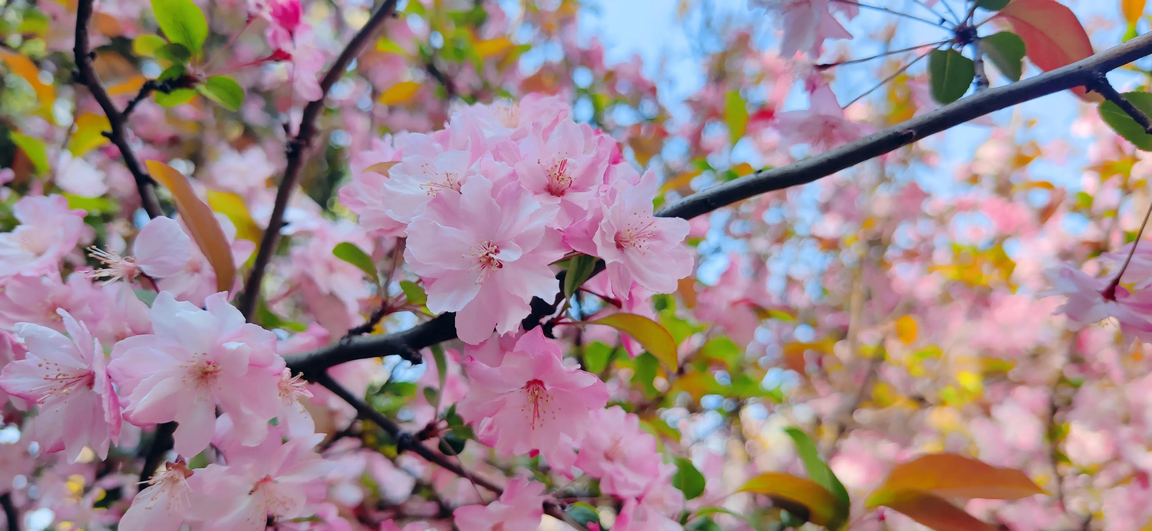 云南旅游攻略天气,云南旅游攻略6天5晚买一送一